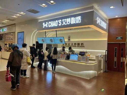 艾炒酸奶 从街头小吃到产业升级的新物种
